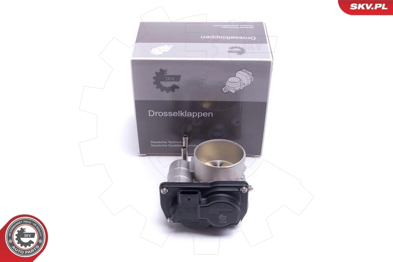 Throttle Body